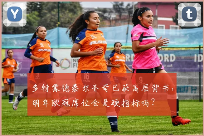 多特蒙德泰尔齐奇已获高层背书,明年欧冠席位会是硬指标吗?